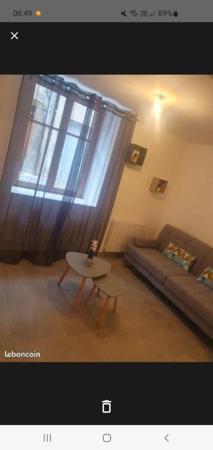 Jolie T2 En Rez De Chaussee Каркасон Екстериор снимка
